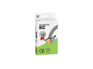 Assistenza sito WordPress - BIZ