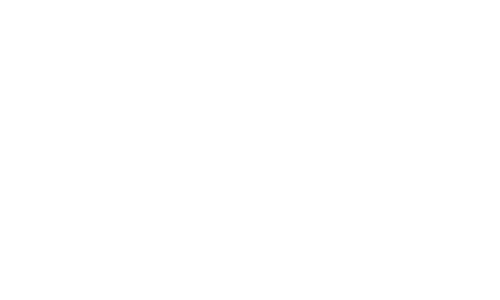 Pedrini S.p.A.